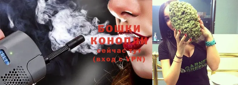 блэк спрут как войти  сколько стоит  Заводоуковск  Каннабис SATIVA & INDICA 